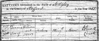 Dennis Aston Baptism Sedgley Dudley 1815 Dennis Aston Baptism Sedgley Dudley 1815